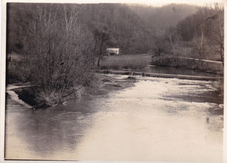 93649740 170317661092511 3141412713213722624 o 768x552