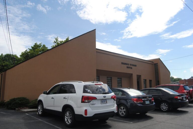 broadwater veterinary hospital gate city va 3 768x514