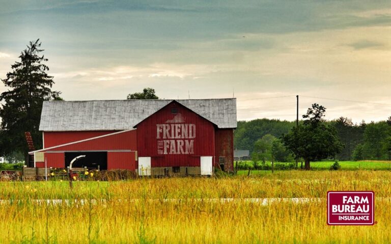 scott county farm bureau gate city virginia 2 768x480