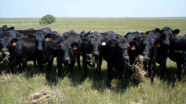 scott county farm bureau gate city virginia 6 768x432