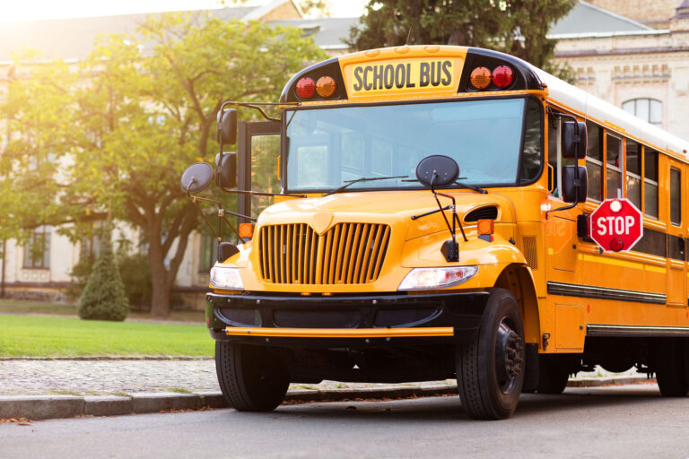 school bus 1 768x512