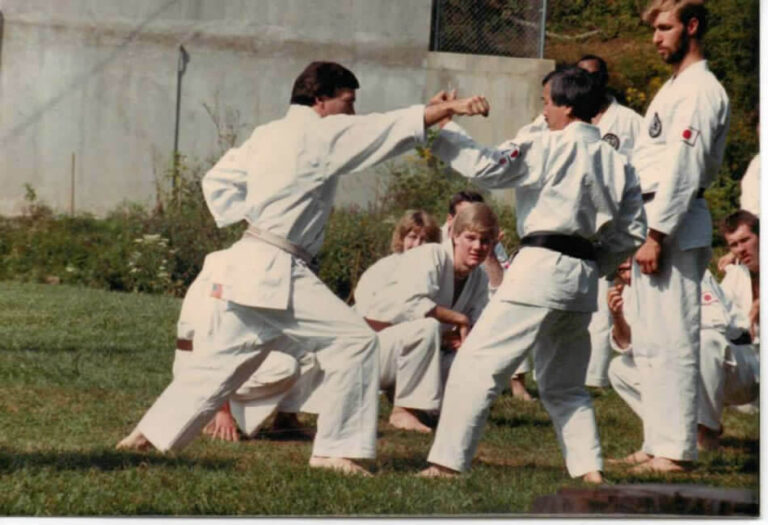 seishin karate school gate city virginia 3 768x525